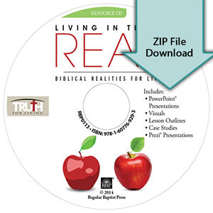 Living in the Real: Biblical Realities for Life<br>Resource CD Download