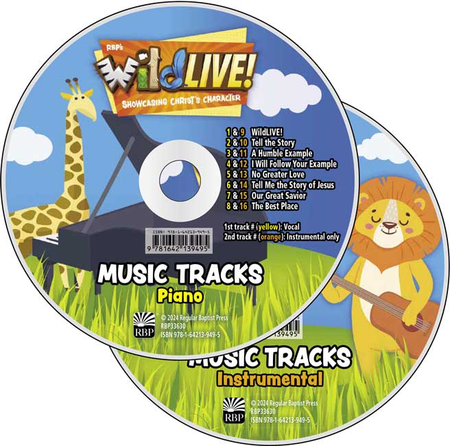 Music Tracks CD Set VBS 2024